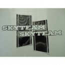 Skyteam Frame Sticker