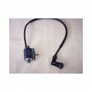 Monkey Ignition Coil