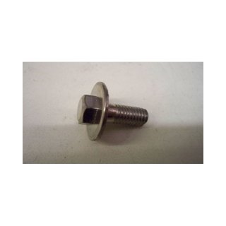 Screw for side stand switch