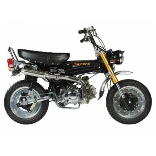 Skymax 50cc Pro , Euro 3 miit Vergaser